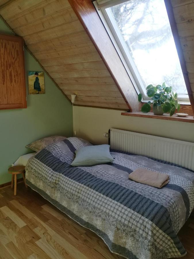 Green Vagon, Farm B&B Rooms For Rent Hjørring Dış mekan fotoğraf