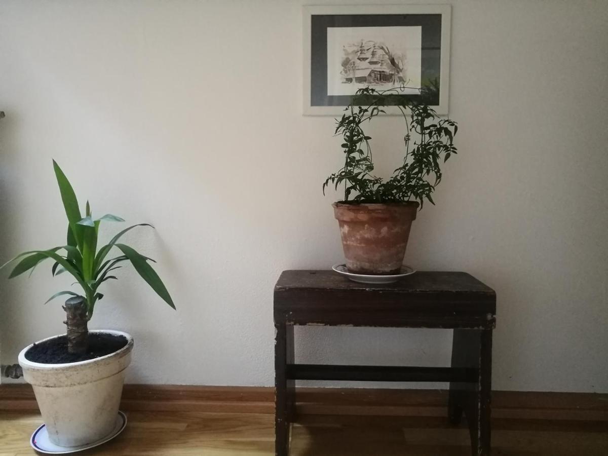 Green Vagon, Farm B&B Rooms For Rent Hjørring Dış mekan fotoğraf